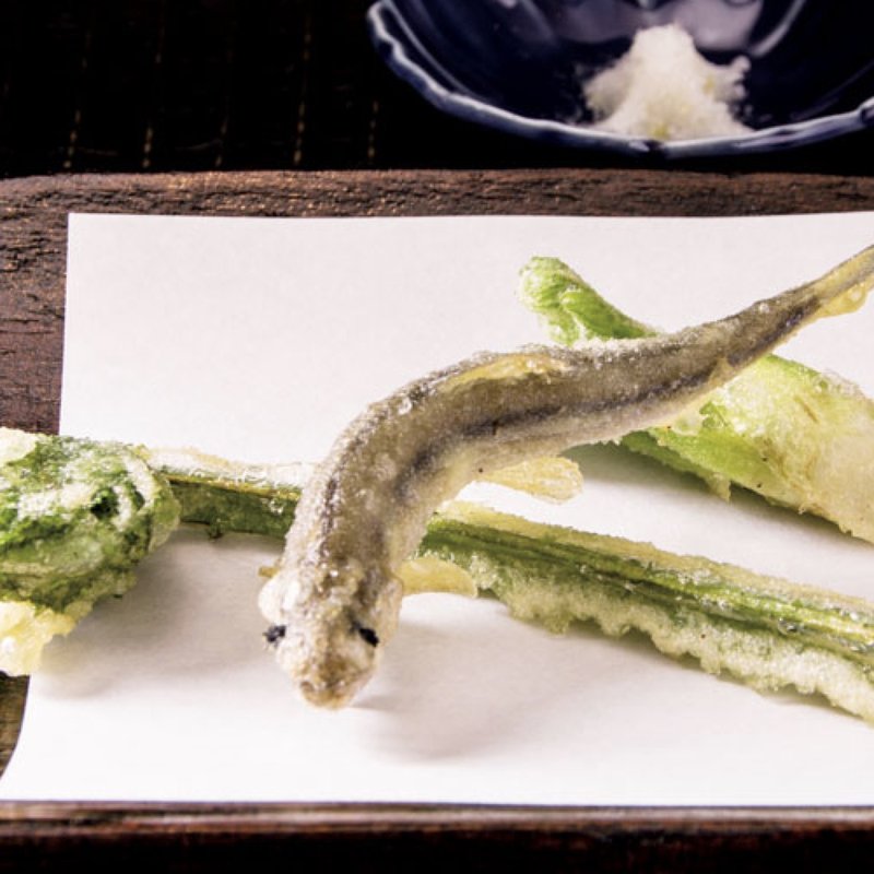 【揚物】稚鮎、こごみ、たらの芽(銀座水野)