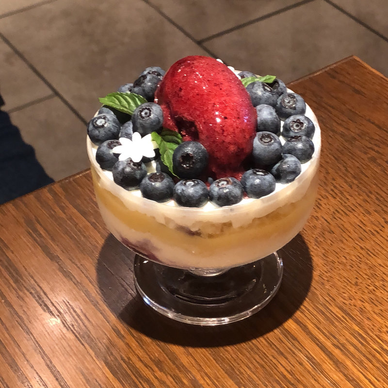 ブルーベリー畑(ビストロかつくら )