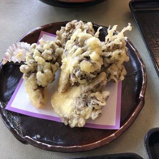 尾瀬舞茸の天ぷら(レストラン花咲 )