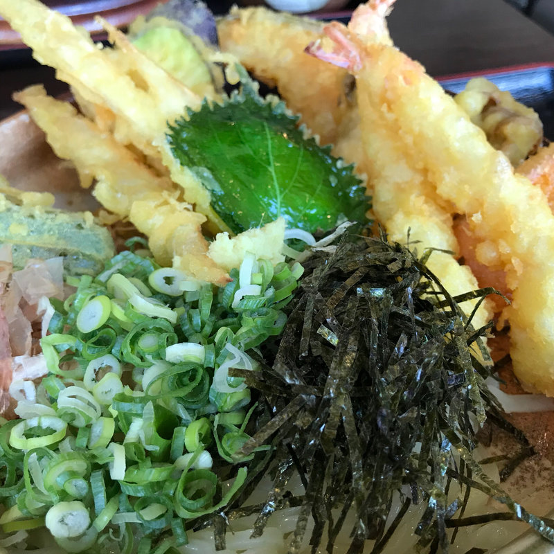 野菜天ぶっかけ(大地のうどん 筑紫野店)