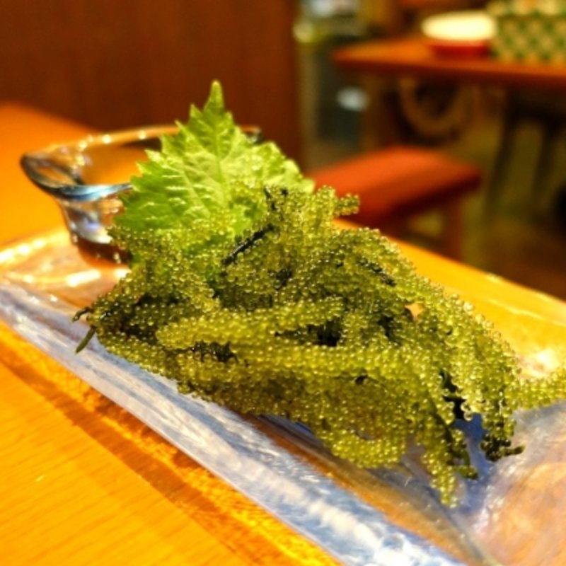 海ぶどう(ちゃーりーはうす )