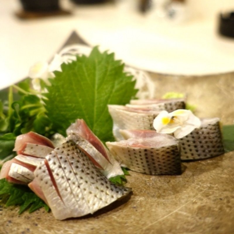 コハダ刺身(劇場居酒屋 海のダイア 名古屋駅)