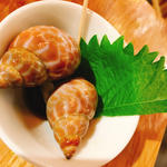 バイ貝うま煮(魚の上よし 京橋店 （うえよし）)