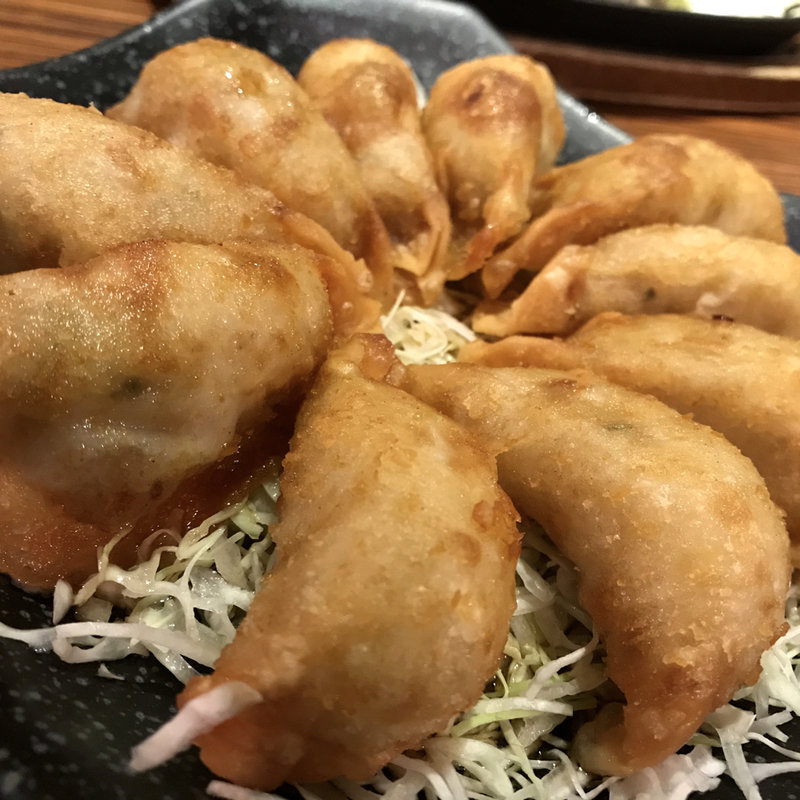 宮崎名物 丸岡の餃子揚(新宿みやこんじょ)