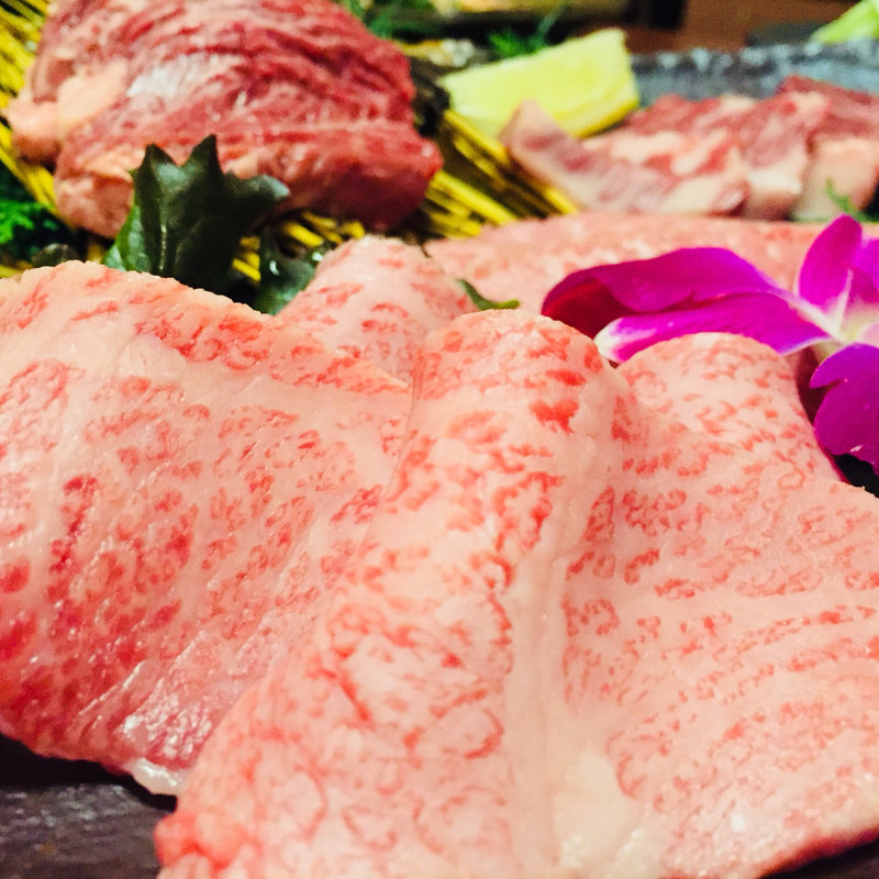 ヒウチ(松風 （マツカゼ）)