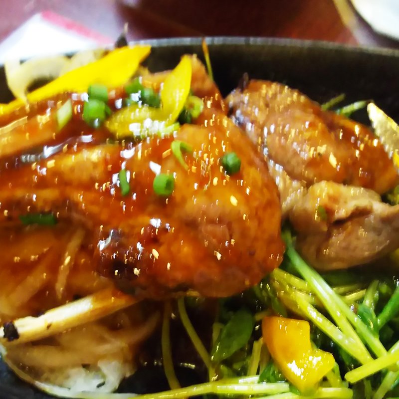 ジンギスカン(ときしらず )