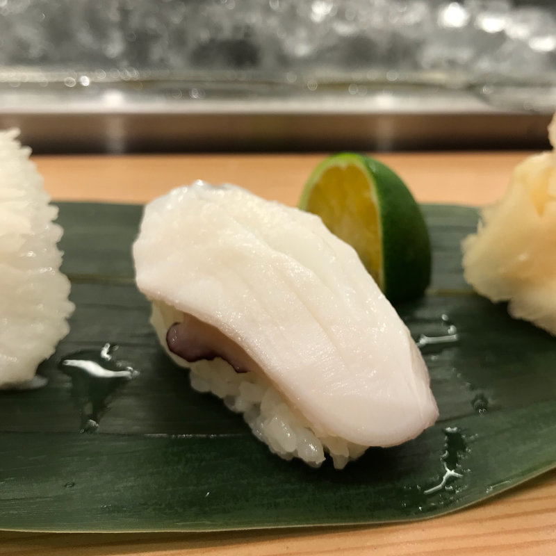 たこ(日本橋 すし 釣りきん )