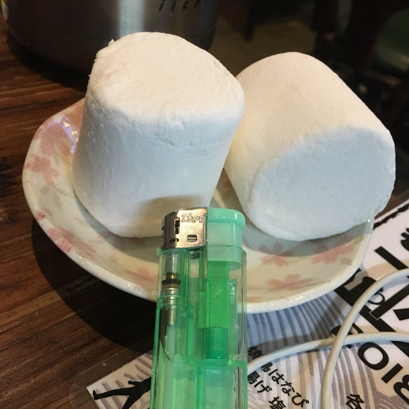 謎マシュマロ(あいちゃん)