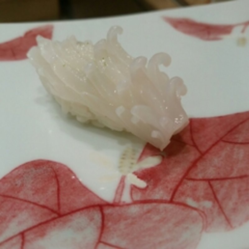 イカ(鮨 井上 )