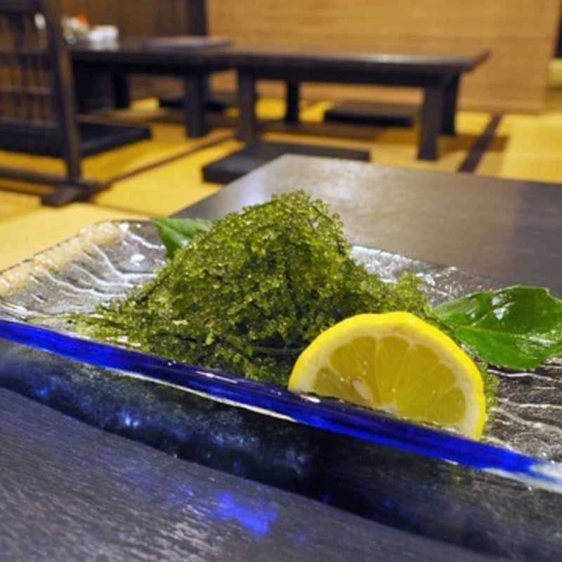 海ブドウ(山将 )