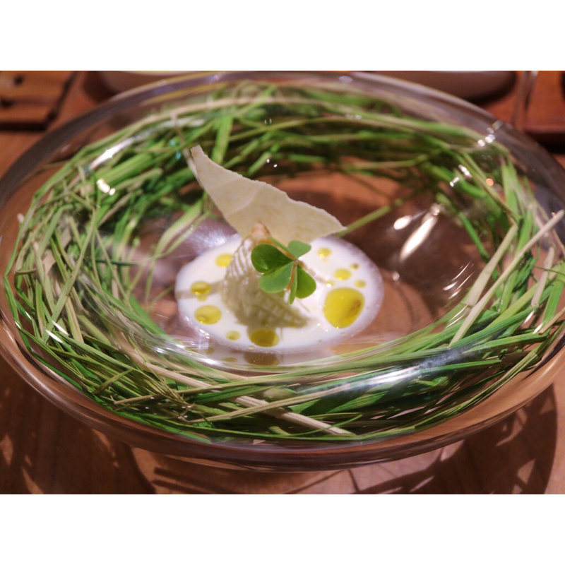 夏の高原(セララバアド)