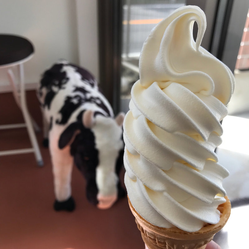 ソフトクリーム(金子牧場)