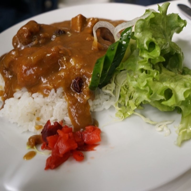 チキンカレー(フジ )