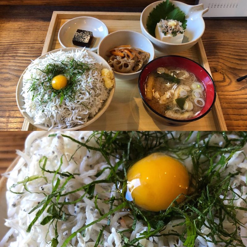 シラス丼(たぐい食堂 )