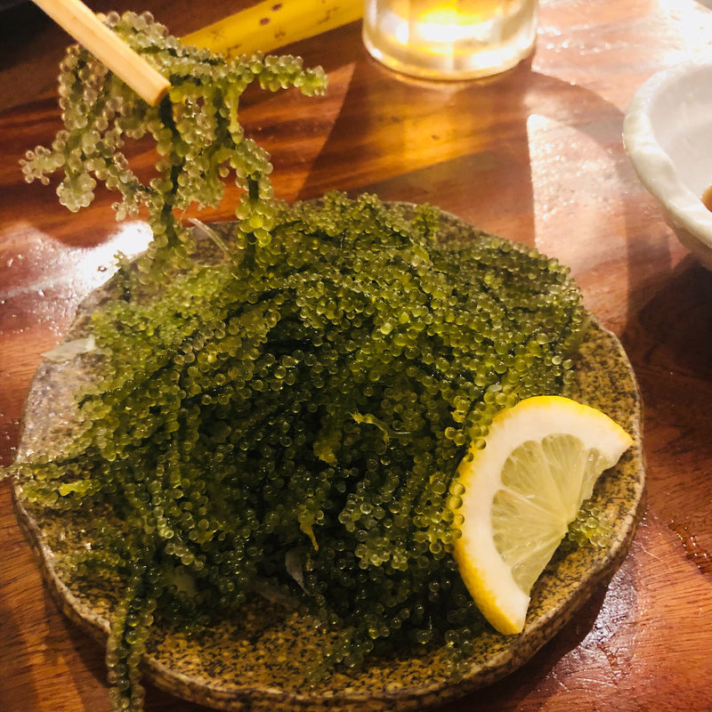 海ぶどう(うさぎや 宮古島店 )