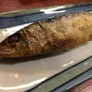 本日の焼魚【いわし】(割烹・小料理　輝石)