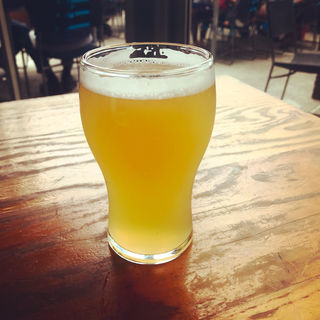 White Rabbit White Ale(Little Creatures Fremantle Brewery)