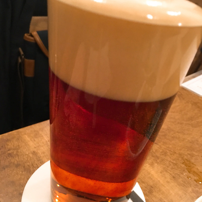 オーロラ(麦酒大学)