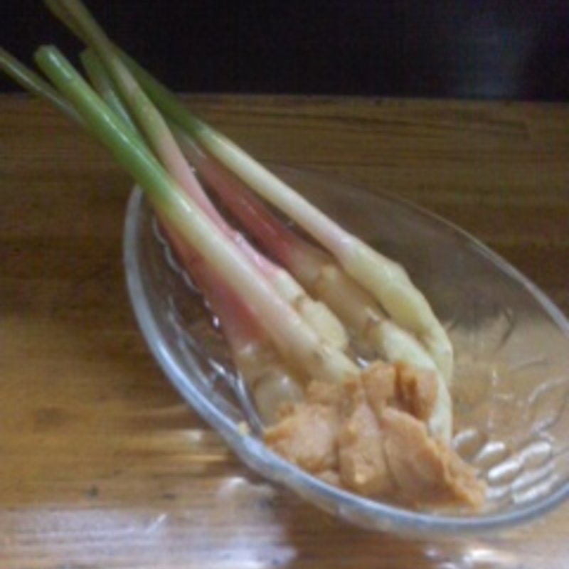 谷中しょうが(食酒処 やまさき)