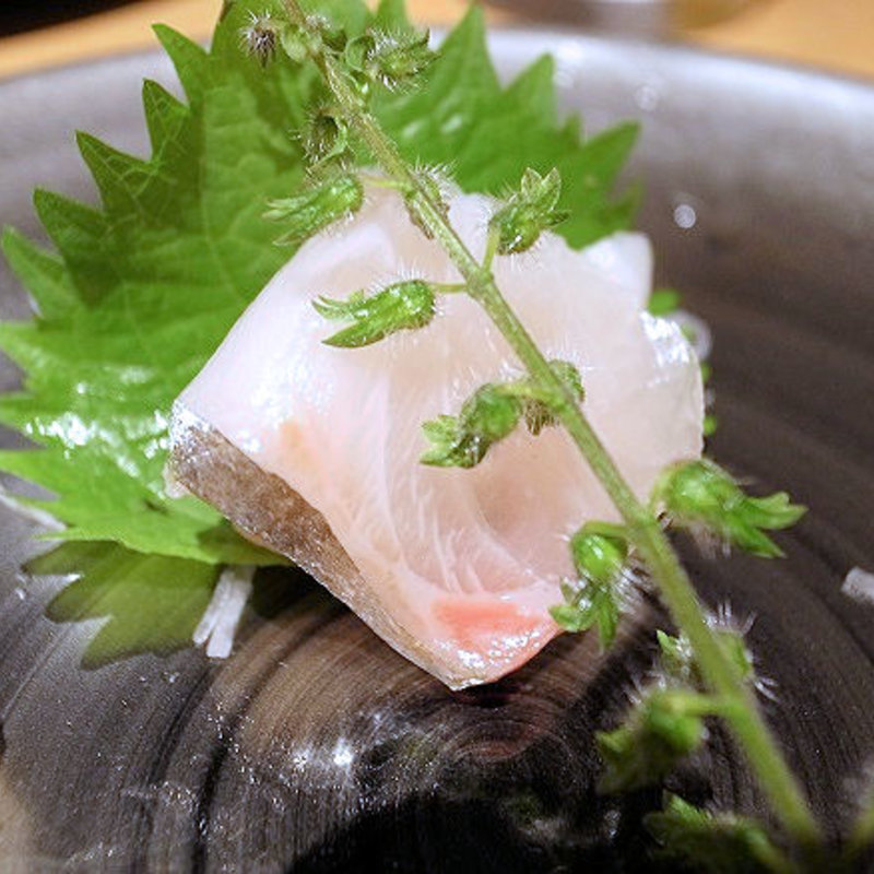 シマアジの刺身(みこころや )