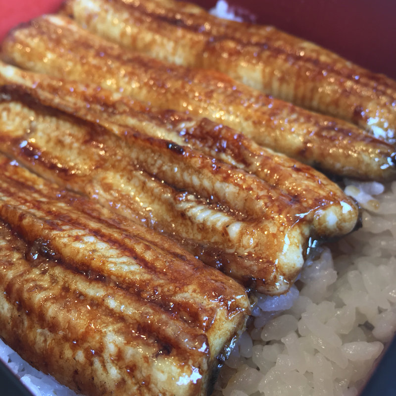 ■大井川共水うなぎ 上うな重(うな正 （うなまさ）)