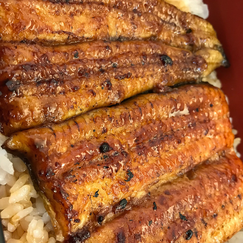 うな重 特々上(うな炭亭 )