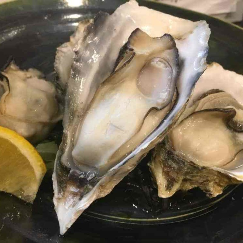 小長井カキ蒸し(藤緒 )