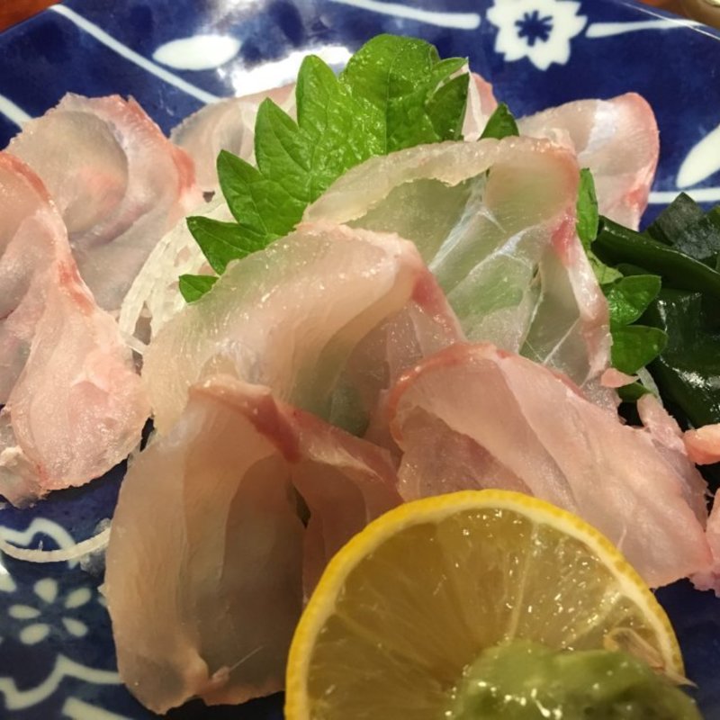アラ（クエ）の刺身(割烹・小料理　輝石)
