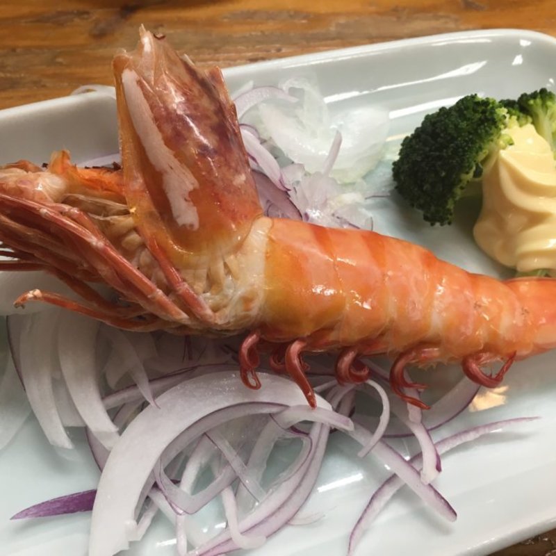 大正海老のボイル(寿司割烹 松ふじ （マツフジ）)