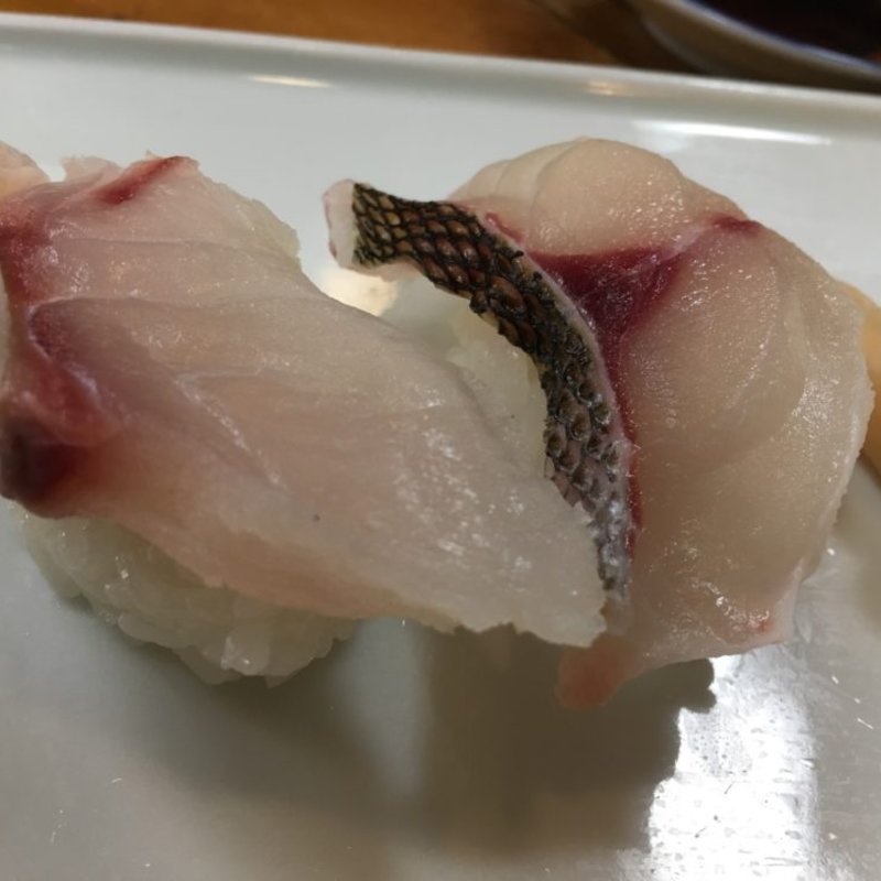 石鯛と一先の握り(寿司割烹 松ふじ （マツフジ）)