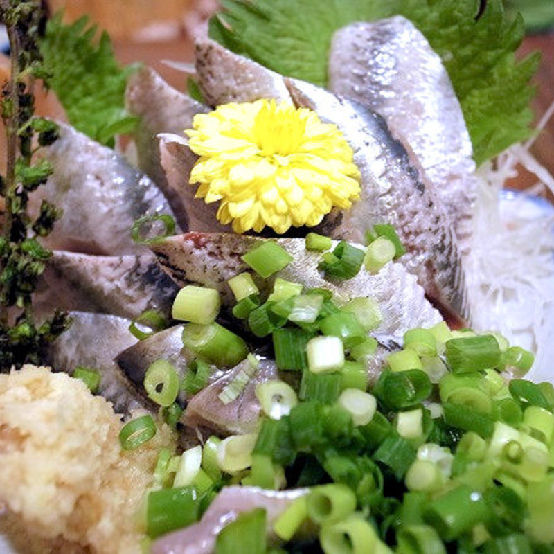 いわしのお刺身(ほろよい )