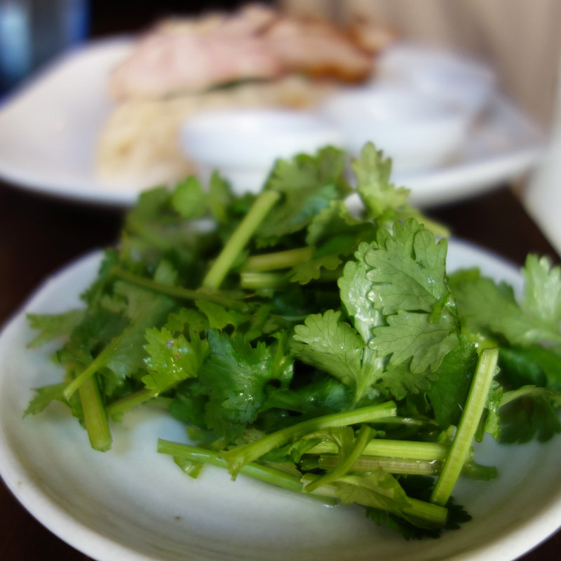 パクチー大盛(博多カオマンガイ 万国屋)