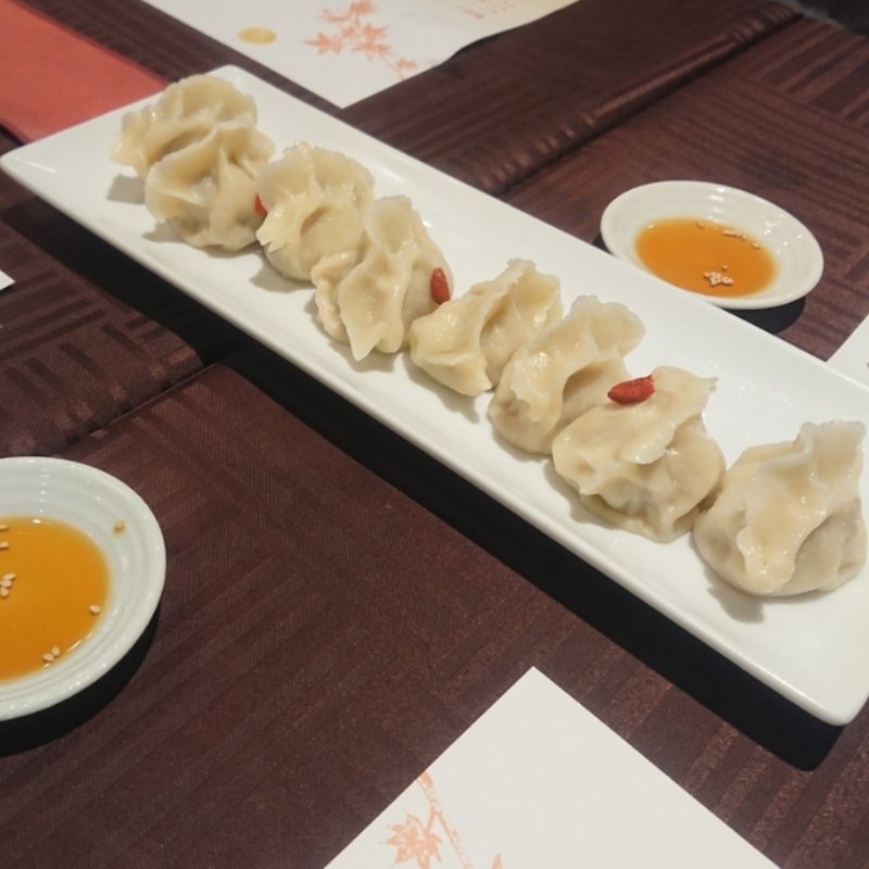 養生水餃子（8個入り）(薬膳 天地・礼心 東方人康食養館)