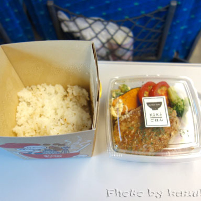 KaKeごはん(井出農園トマト＆アボカドサラダハンバーグ＆ブラックペッパーごはん)(今日のごはん 和saiの国 エキマルシェ新大阪店)