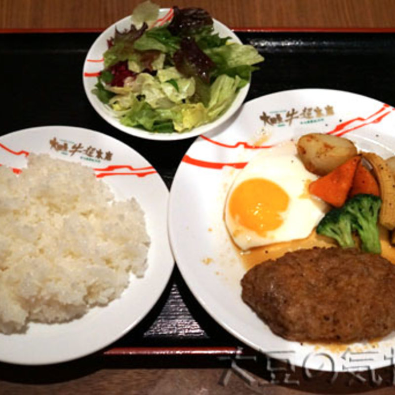 大田原牛100%生ハンバーグ(レギュラー)(大田原 牛超 柏店 )