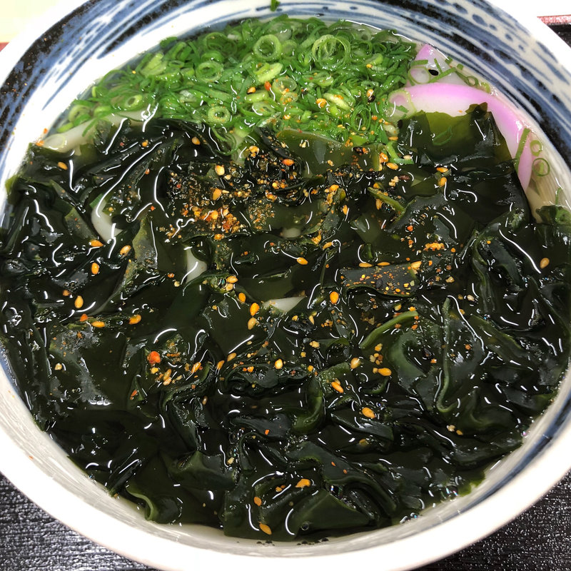 わかめうどん(南国サービスエリア（上り線） スナックコーナー )