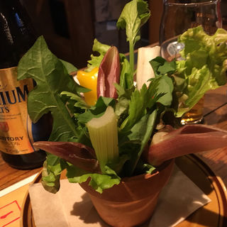 (FESTA 博多店 （フェスタ）)