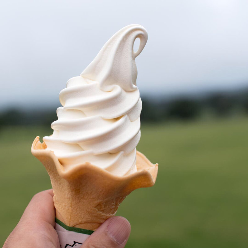 みるくの里特製ソフトクリーム(大山まきば みるくの里 )
