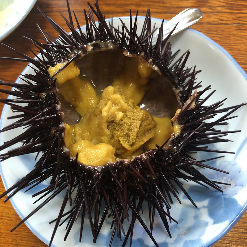 殻付きウニ(海峡荘 )