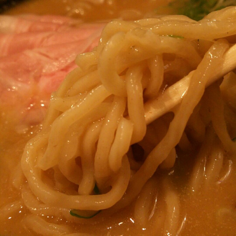 濃厚とんこつ味噌ラーメン(ふじ屋NOODLE)