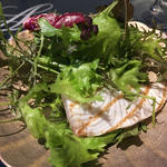 鮮魚の炙りと葉野菜のサラダ仕立て トリュフとともに
