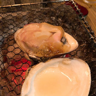 特大はまぐり(ヤマト （YAMATO）)