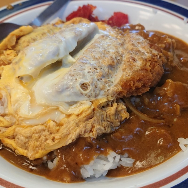 カレーかつ丼(名代富士そば西武新宿店)