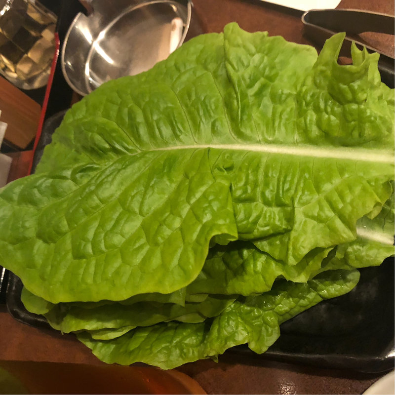 サンチュ(代々木苑)