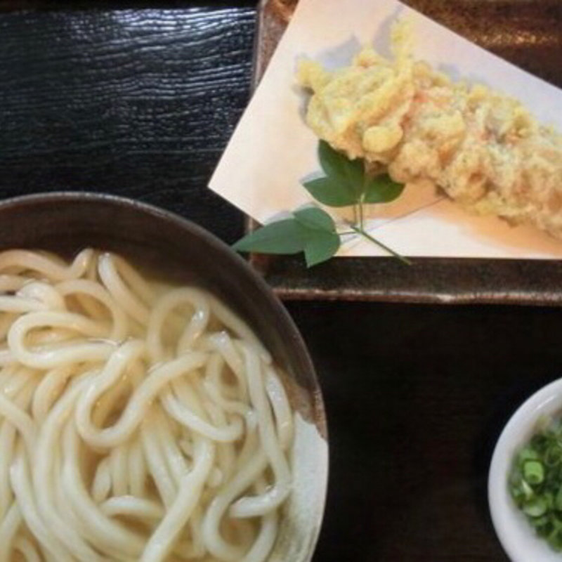 たこちくかけ(シラカワ （SIRAKAWA）)