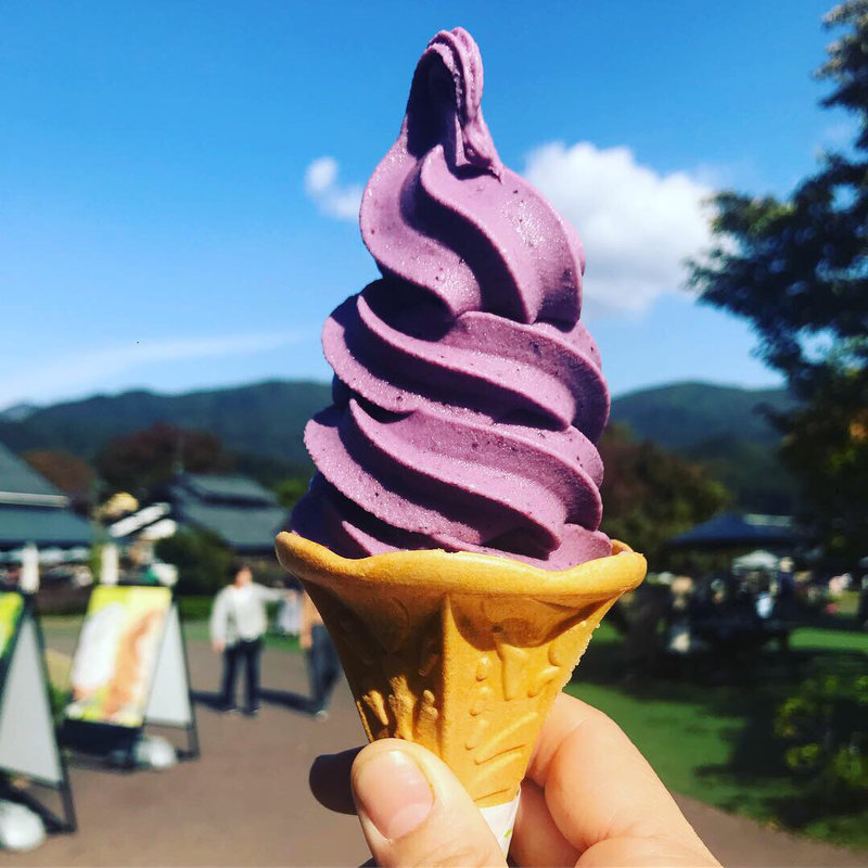 ブルーベリーソフトクリーム(田園プラザかわば)