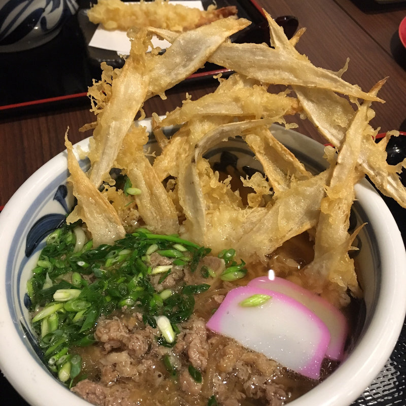 肉ごぼう(豊前裏打会 萬田うどん)