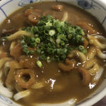 田舎レーうどん