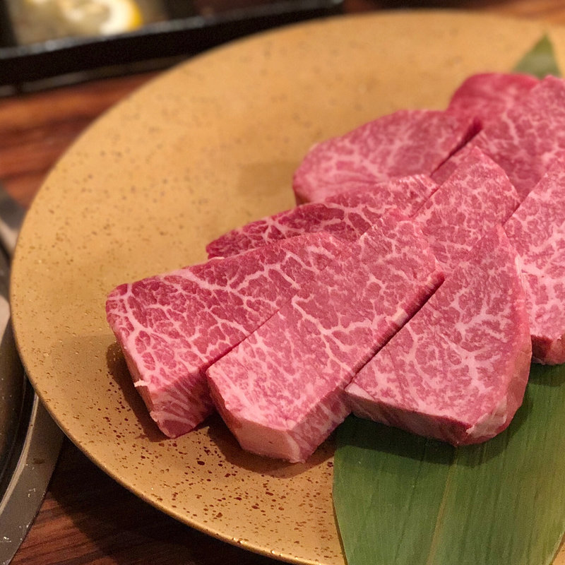 ヒレ(ヒレ好きSATOさん)