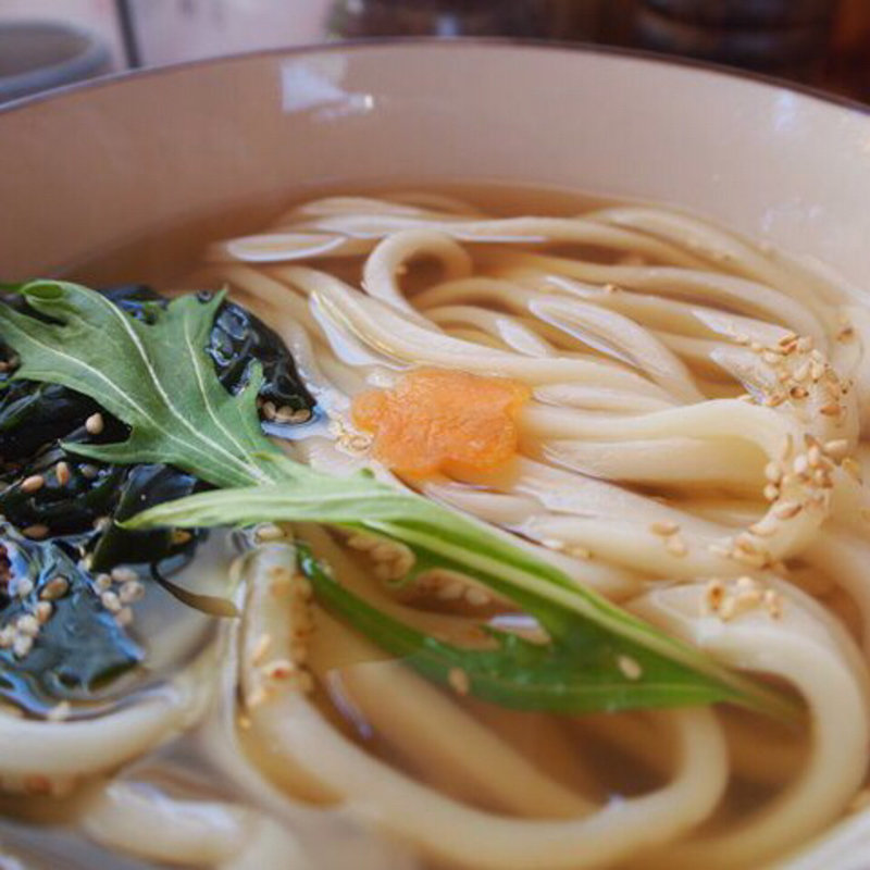 かけうどん(本格手打ちうどん 野口製麺所 本店)